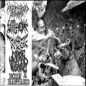 Deep Fried Embryo / Stilnox / Pxmxsxzx / Noise Haunted Insane / Born A Bastard