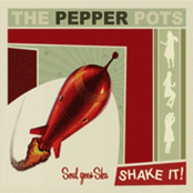 I Can Feel It by The Pepper Pots