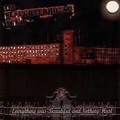 Everything Was Beautiful and Nothing Hurt