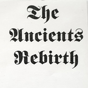 Below the Nocturnal Skies