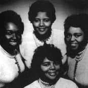 the pearlettes