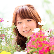 菊池志穂 S Lyrics Chords 菊池志穂 S Lyrics Chords