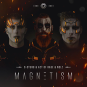 D-Sturb: Magnetism