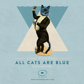All Cats Are Blue