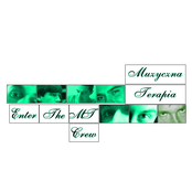 Muzyczna Terapia. EnterThe MT Crew [2008]