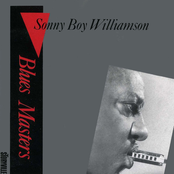 I Wonder Do I Have A Friend by Sonny Boy Williamson