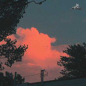 Don't Sad Bart Me Bro