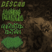 Descab / Malevolent Pescetarian / Unlimited Edition / Postmortem Defecation