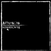 Blackbirds/Braindead Split