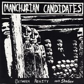 Between Reality And Shadow