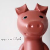 Biografía de mi espejo