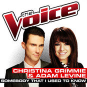 Somebody That I Used To Know