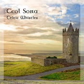 Celtic Whistles