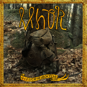 V lesích hlubokých