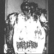 Decomposed At A First Sight