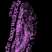 The Mary Wallopers: The Juice