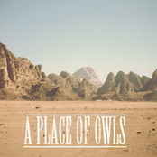 Still by A Place Of Owls