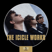 Scarecrow by The Icicle Works