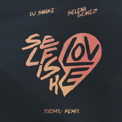 Selfish Love (with Selena Gomez) (Tiësto Remix)