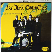 these were … les black carnations