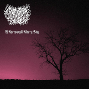 A Sorrowful Starry Sky