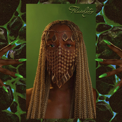 Summer Breeze: Fluidity