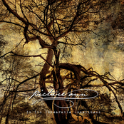 In Its Unbearable Loneliness