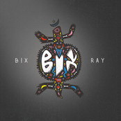 BIX-RAY