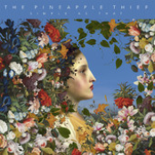 The Fins Fan Me by The Pineapple Thief