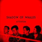 Shadow of Whales: Attention