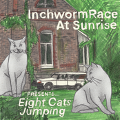 Eight Cats Jumping