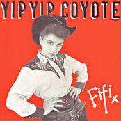 yip yip coyote