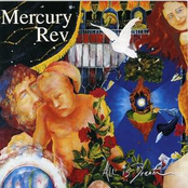 Nite And Fog by Mercury Rev