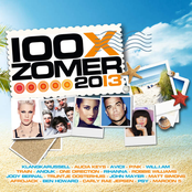 100x Zomer (2013)