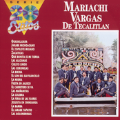 Serie 20 Exitos