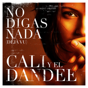 Cali Y El Dandee: No Digas Nada (Déjà vu)