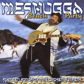 Sixteen Songs Of The Chosen Surfers