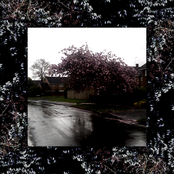 Natural Selections: The Rainy Day Extended Play