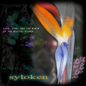 Life, Love and the Birth of the Digital Flower