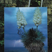 No Need for Paradise