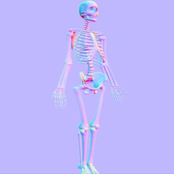 c e m e t a r y s n i f f