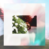 trust me, i wont leave