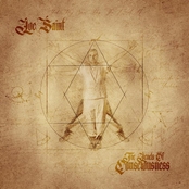 The Levels Of Consciousness