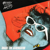 Shake The Albergator / Detectivies