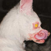 AT LEAST SOMETHING IS PROTECTING YOU