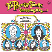Something New Got Old by The Partridge Family