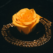 The Golden Rose [Explicit]