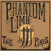 Phantom Limb: The Pines