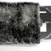 Skam Cats (disc 1: Rest)