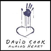 Silver by David Cook